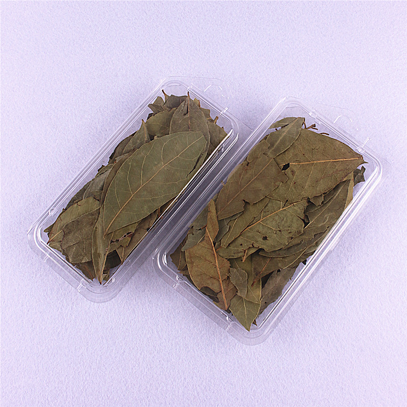 New blueberry box disposable fruit box plastic small packaging cinnamon bayberry spice box transparent packaging box