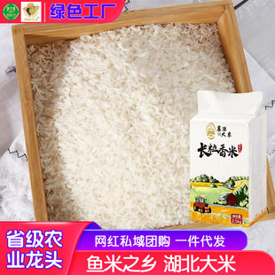 �N���L�����׺�������5�� ��������Ū�����B�ײ������Ϟ�������l
