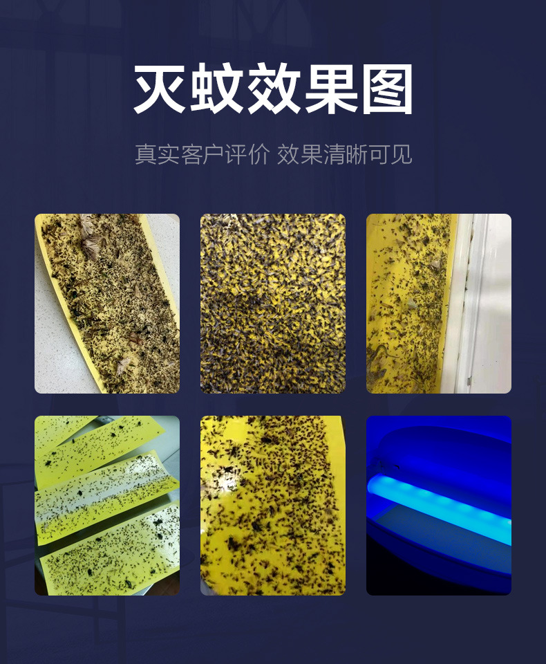 粘捕式灭蚊灯详情_05.jpg