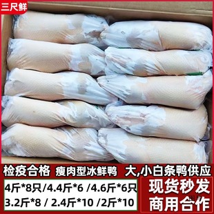 ���r����חl������20��10ֻ���r���ҹ���������������ֻ������