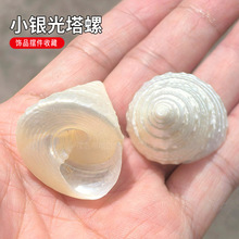 ��ȻС�y������ �ľ�з��Q�� Сؐ�����ݚ��~���쾰�Ʒ�[���ղ�