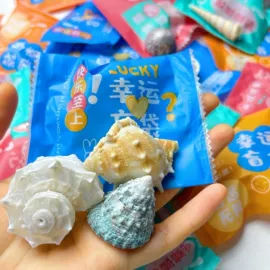 海螺/贝壳;酒杯;勺、调羹