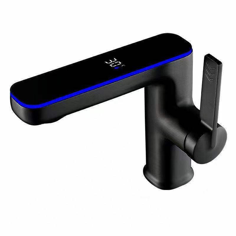 B1 - 도장 블랙 (디지털 돌고래) 풀 황동