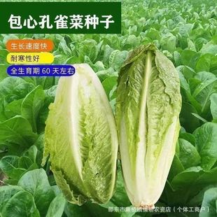 ����ɳ���˰��Ŀ�ȸ�˷N���_�R�����ļ��߮a�͟���Ĵ����߲�����