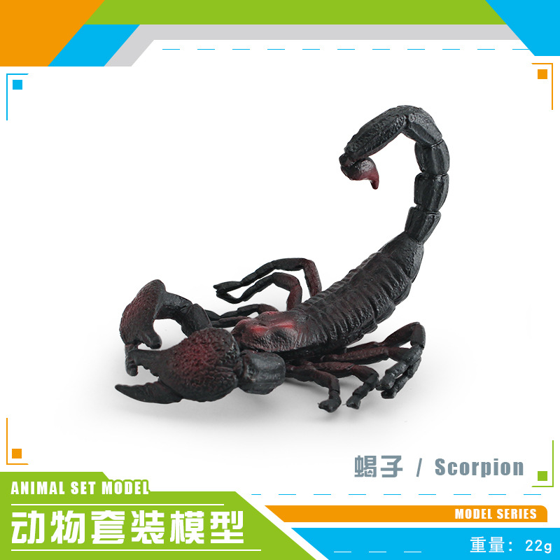 Cross-border simulación bosque animal modelo infantil cognitivo blanco Phoenix verde iguana escorpión Python cuerno lagarto escritorio Decoración