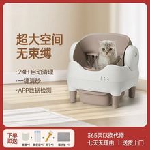 ����ȫ�Ԅ�؈ɰ���̖��������]؈�������P�����Ԅ��Pʺ�C