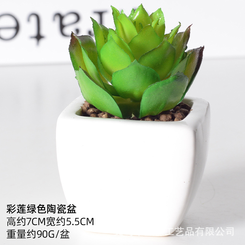 Simulación de cerámica bonsai de carne doméstica decoración de escritorio de oficina plantación verde maceta props de disparo maceta combinada artificial image 17