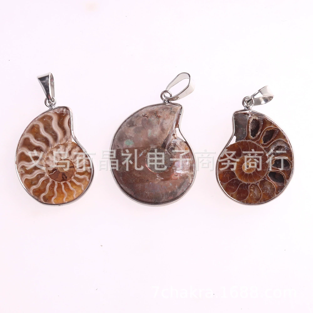 Натуральная ракушка боярышника грубая перегрузка snail wealth snail открытая нарезанная ракушка окаменелость подвеска Ракушка Окаменелость
