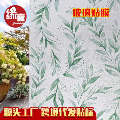 window Scrub Glass Sticker Translucency transparent TOILET toilet Glass Film Privacy colour Window stickers
