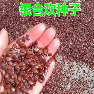 �G���Ϛg�N�������q����N���^�p�t���ļ��׷N�̨�����y�Ϛg�²�