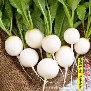 �י���С�}���N�Ӵ���ˮ���}���N�Ѵ����＾�����̨ˮ���}���N��