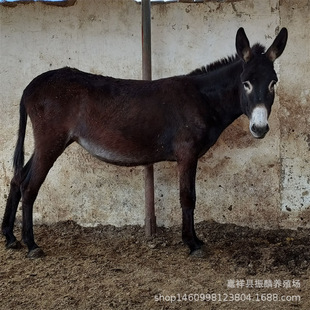 �����������H���� �������ۻ��HƷ�N С�H���Bֳ �����H���^�H