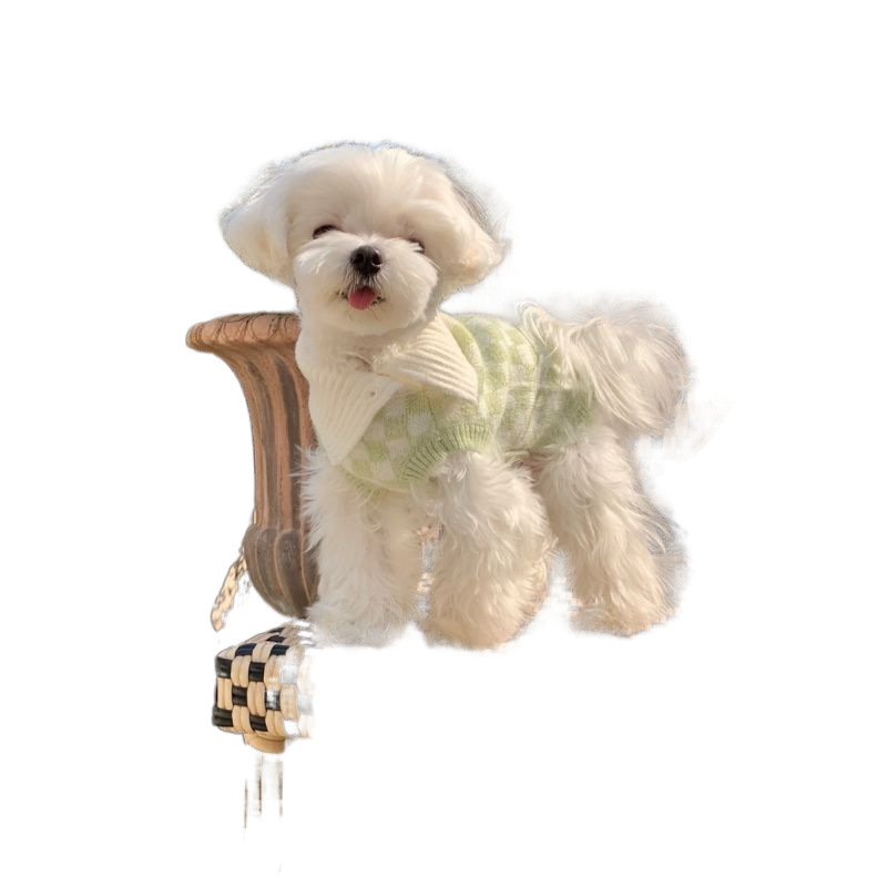 개와 고양이를 위한 애완동물 체커보드 스웨터 라펠 캐시미어 스웨터