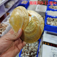 �S��ؐ ��Ȼ����ؐ���[���~���u��9-11�������Ғ�������ؐ