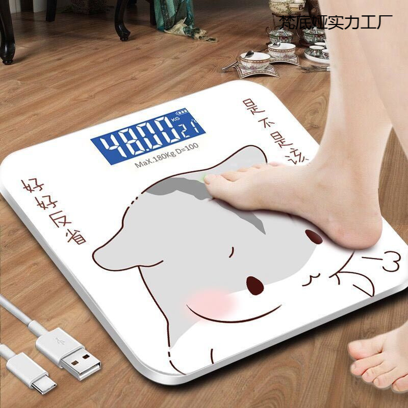 Optional USB Charging Digital Weighing Scale, Accurate Home Health Scale, Human Body Scale, Adult Weight Loss Weighing Meter