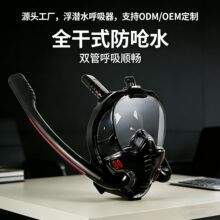 双管潜水面罩高清全脸浮潜面罩专业护眼潜水装备亚马逊热销款批发