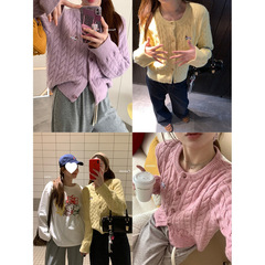 【现货】im向 乖乖女穿搭 腊肠狗刺绣羊毛麻花毛衣外套女针织上衣