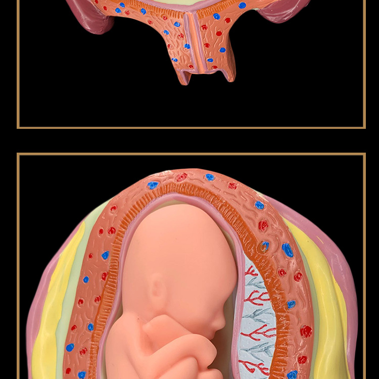 O1CN01zCYahc2Kk6Xgu8tnF_!!3578