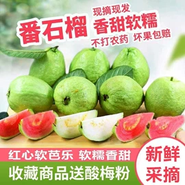 柚;番石榴/芭乐;香蕉