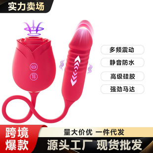 õ�廨���������s���������p�^���Ӱ���Ȥ��Ʒ�羳���u������Ʒ