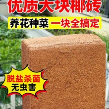 Ҭ�u�I�B�������B���N��ͨ����Ҭ�Ӛ�9���KÓ�}Ҭ���u�Nֲ����