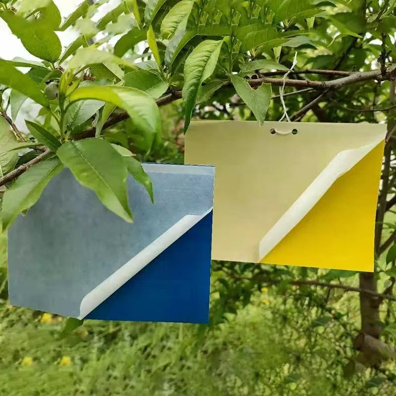 타이 와이어로 종이로 덮인 뒷판