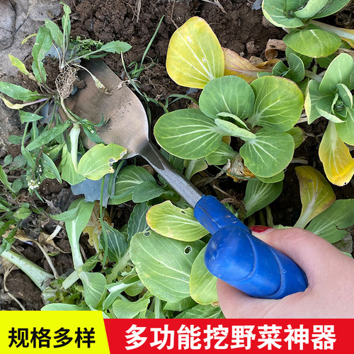Wholesale Outdoor Garden Vegetable Digging and Foraging Spade - Garlic, Dandelion, and Chicory Digging Fork - Multi-functional Planting and Transplanting Spade