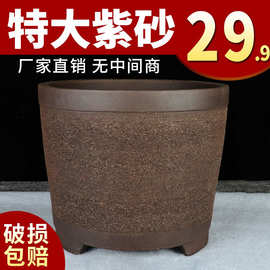 宜兴紫砂特大口径圆柱君子兰小吊兰阳台绿萝多肉特价清仓陶瓷盆景