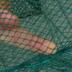 Economical shrimp trap without net with net lobster net simple fishing net foldable fishing net lobster breeding net fishing gear