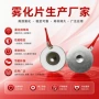 喷雾大雾微孔手持雾化片