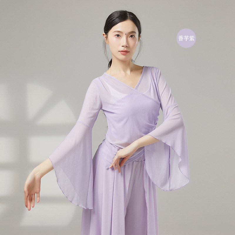 古典舞踊のダンス服、新しい弾性メッシュトップ、エレガントなガーゼ練習服、中国舞踊の民族パフォーマンス服|undefined