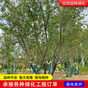 ���Ǘ����煲����l�� �G�h��@�^С�^�L���G�����������ʘ���