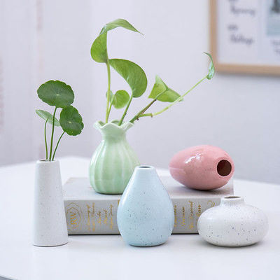 originality Simplicity lovely Like a breath of fresh air vase Mini a living room desktop Hydroponic green dill flower arrangement ornament Ceramic ornaments