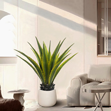 ����Gֲ�辰������~���m�S߅�Fֲ��Ꭷ�����쾰�b�ֲ��F؛