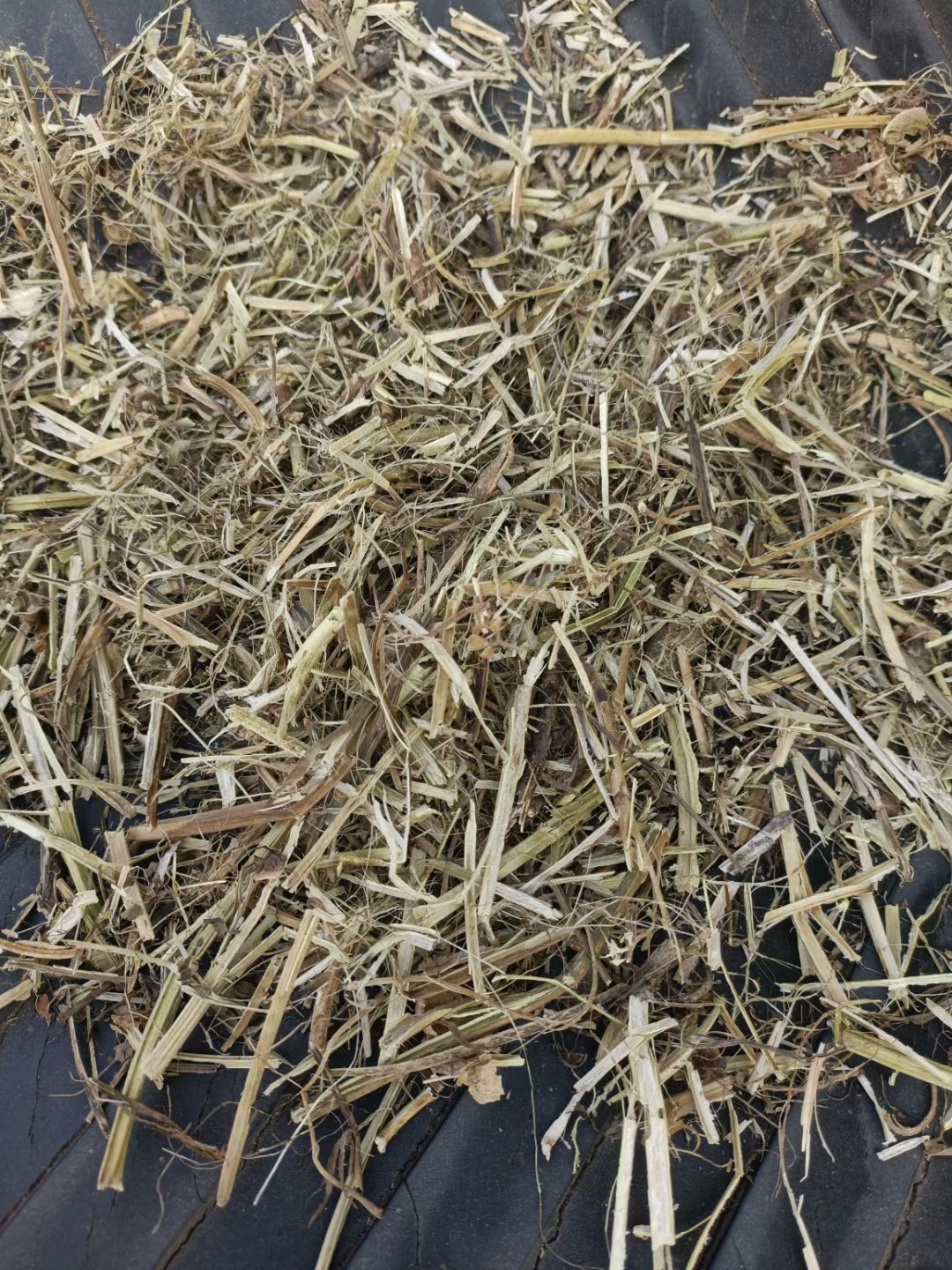 微信图片_202507140836441