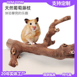 葡萄藤枝仓鼠笼子造景用品啃咬磨牙棒树根天然攀岩爬梯躲避玩具