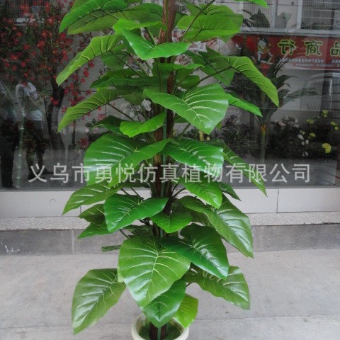 FUENTE Fábrica al por mayor de la planta de simulación árbol 63 Paquete de hojas Goteo marrón Guanyin rábano verde de hoja perenne planta verde árbol falso