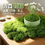 景观仿真商场毛线青苔