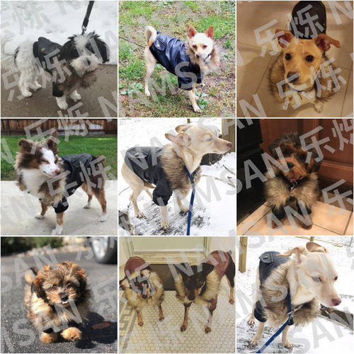 Pet Clothing New Autumn and Winter Clothes Dog Fur Collar Leather Clothes Winter Warm Puppy Dog Clothes Factory Direct Sales