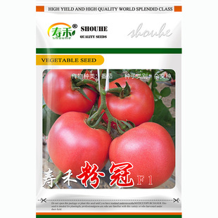 �ۺ̷۹ڷ��ѷN�� ��۹� �߮aɳȿ���t�� �����紺�۹����ѷN��