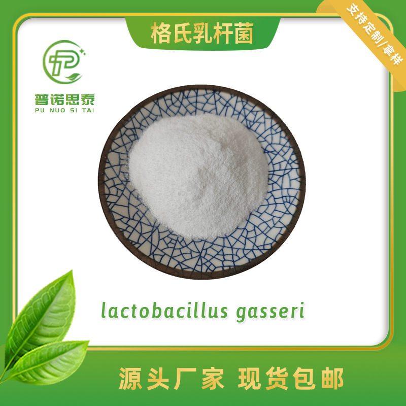 1kg起订 厂家现货 益生菌冻干粉 格氏乳杆菌100亿CFU/g