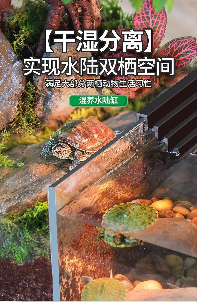 315a47bc-56b2-49d8-8f25-72d5217149b0.jpe