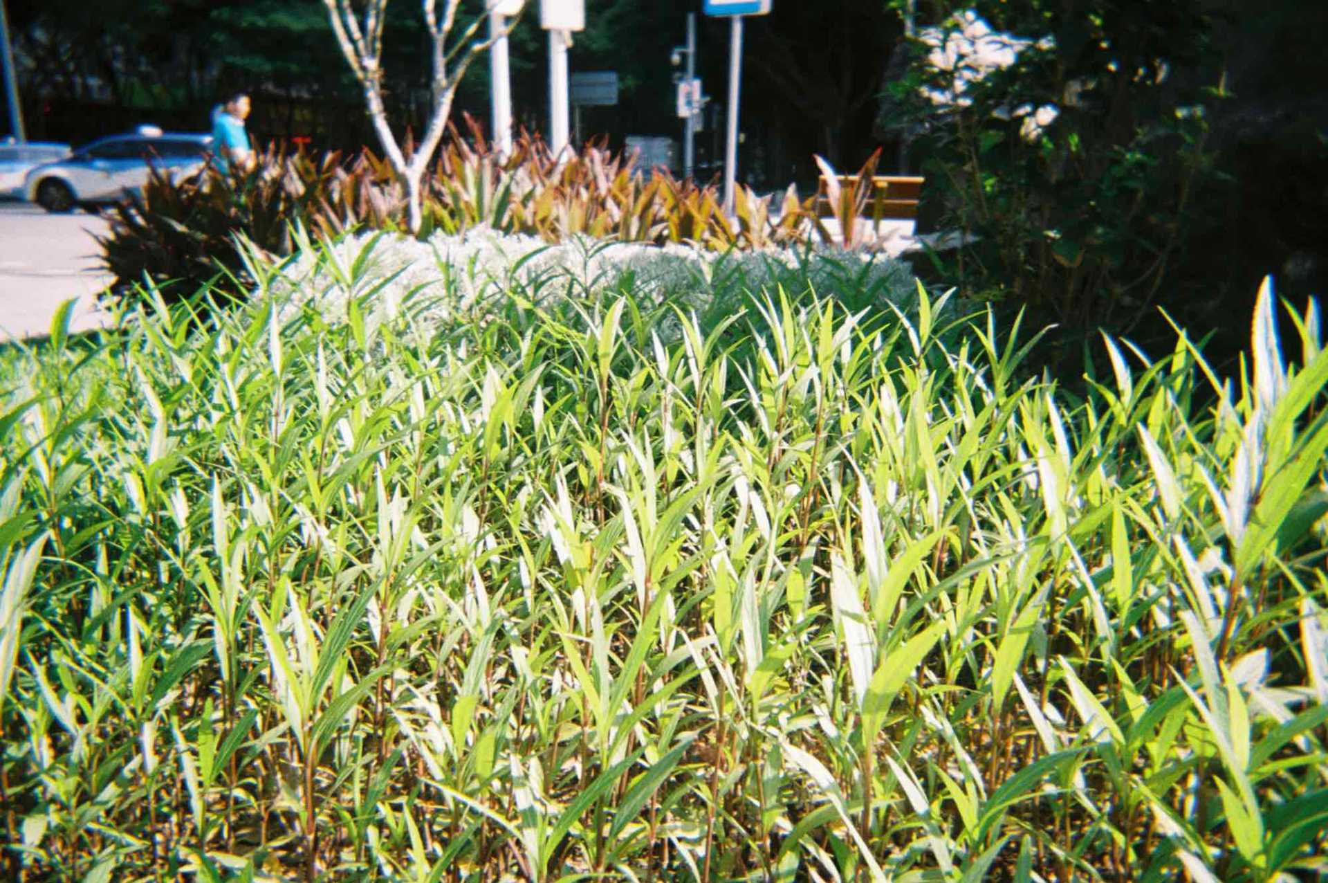 A3C7C283-BBA5-498B-A84B-957EA6