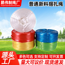 �S�����l����3.5cm�����K�����K��������Kpp�����K˺��Ĥ�����K
