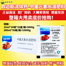 ����l؛�W�~˹���w�} ������M���}�� ���������߲����a�~���