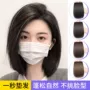 头顶增发发根一片式假发片