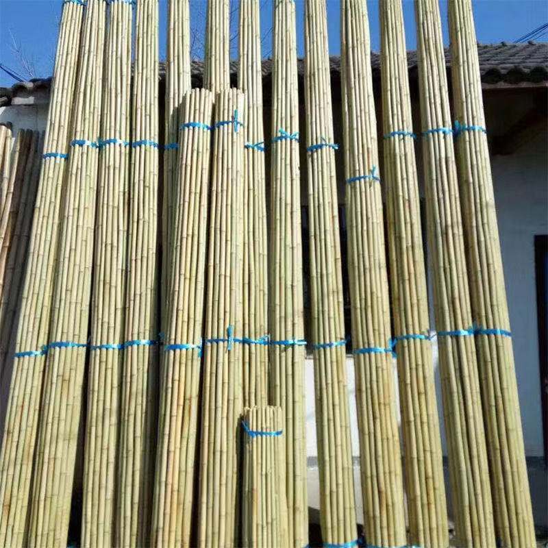 成捆竹竿装饰竹竿防腐竹竿234米毛竹彩旗竹竹竿装修搭架默认项