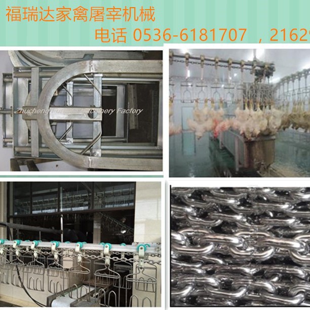 供应不锈钢宰鸭 宰鹅掏脏 分割流水线  家禽屠宰生产线