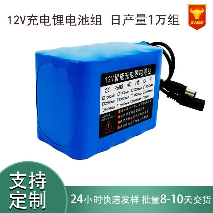 12V10AH灭蚊灯备用电源 EL冷光线电池 太阳能闪爆灯警示灯电池组