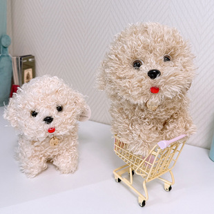 �������¿��ë����Ȯë�q���������^̩�Ϲ�����ż�����������l